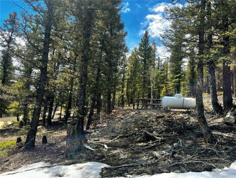 2843 Redhill Road Fairplay CO 80440