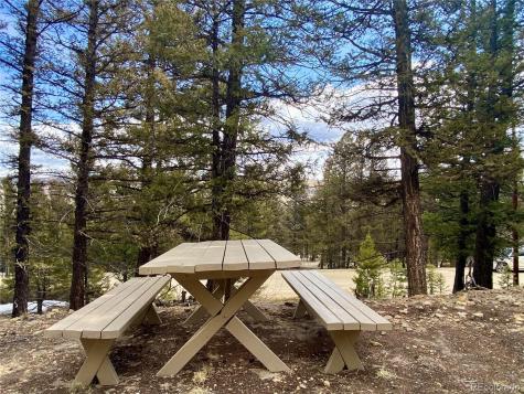 2843 Redhill Road Fairplay CO 80440