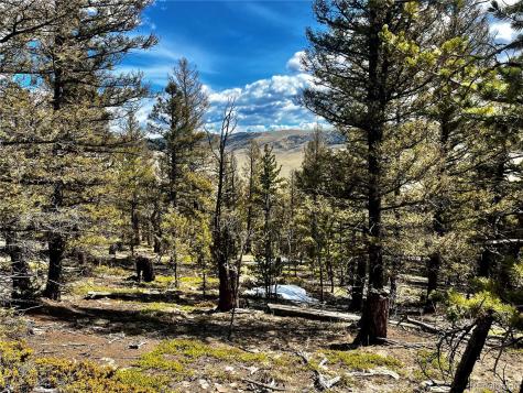 2843 Redhill Road Fairplay CO 80440