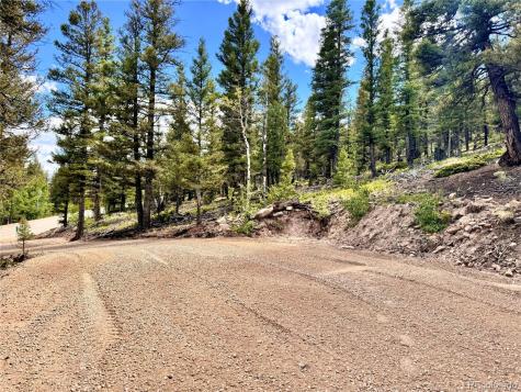 2843 Redhill Road Fairplay CO 80440