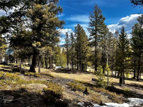 2843 Redhill Road Fairplay CO 80440