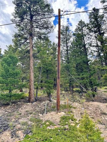 2843 Redhill Road Fairplay CO 80440