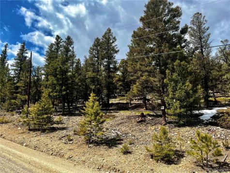 2843 Redhill Road Fairplay CO 80440