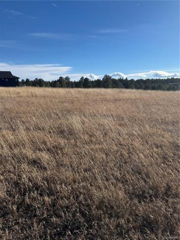 11691 Rambling Road Colorado Springs CO 80908