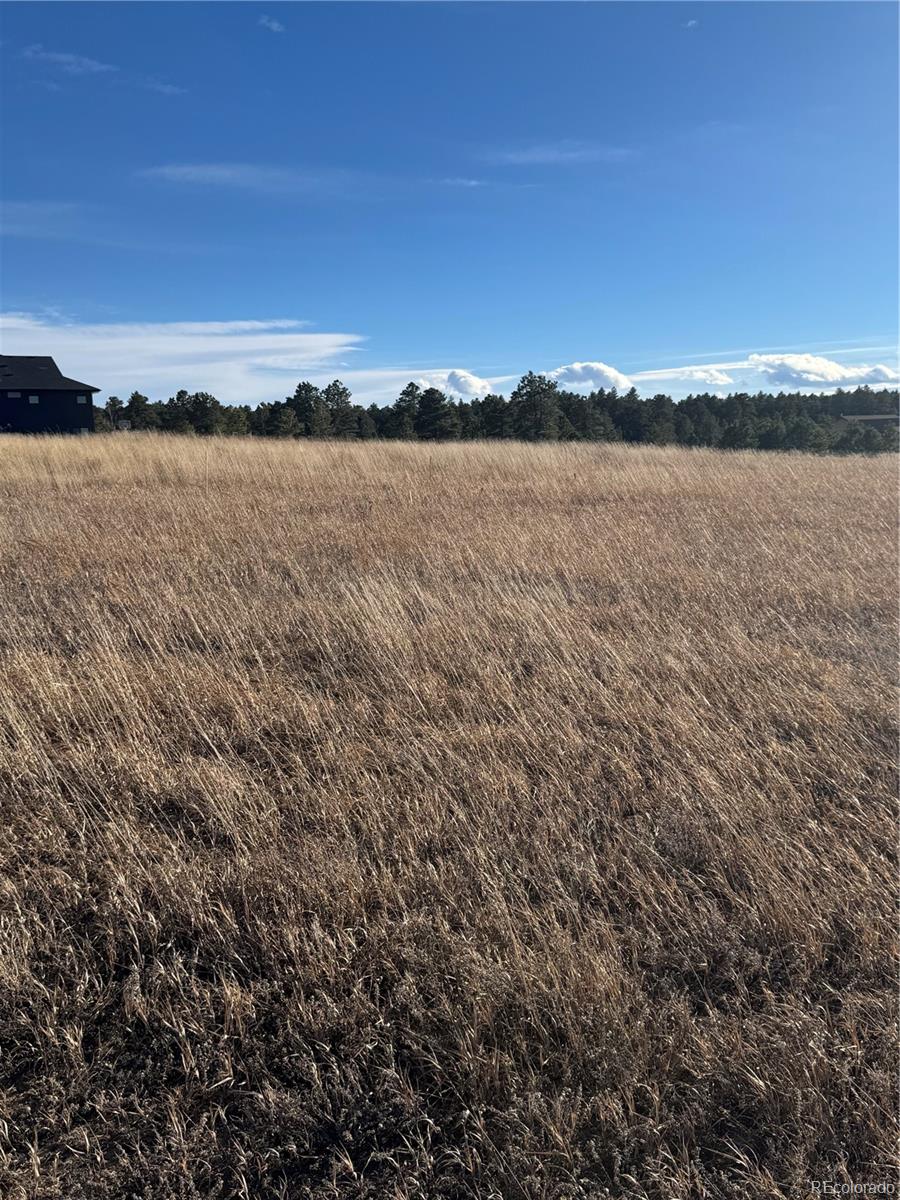 11691 Rambling Road Colorado Springs CO 80908