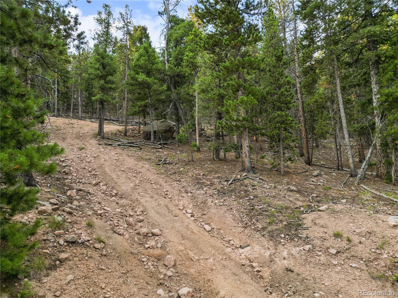 26273 Richmond Hill Road Conifer CO 80443