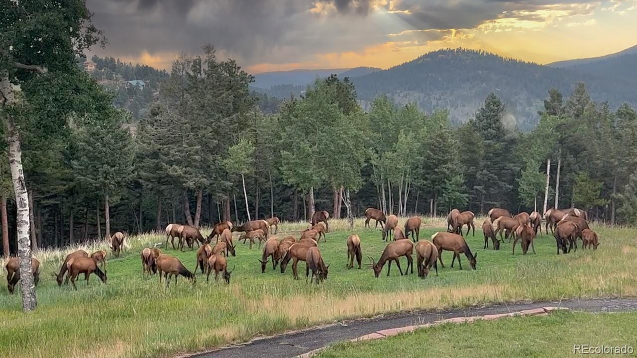 26273 Richmond Hill Road Conifer CO 80443