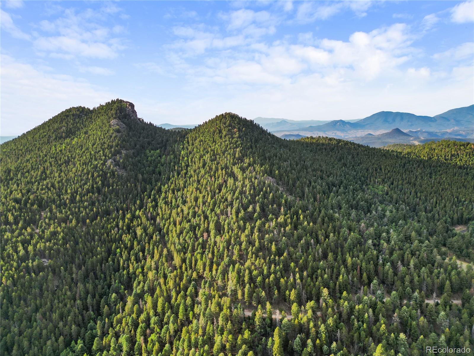 26273 Richmond Hill Road Conifer CO 80443