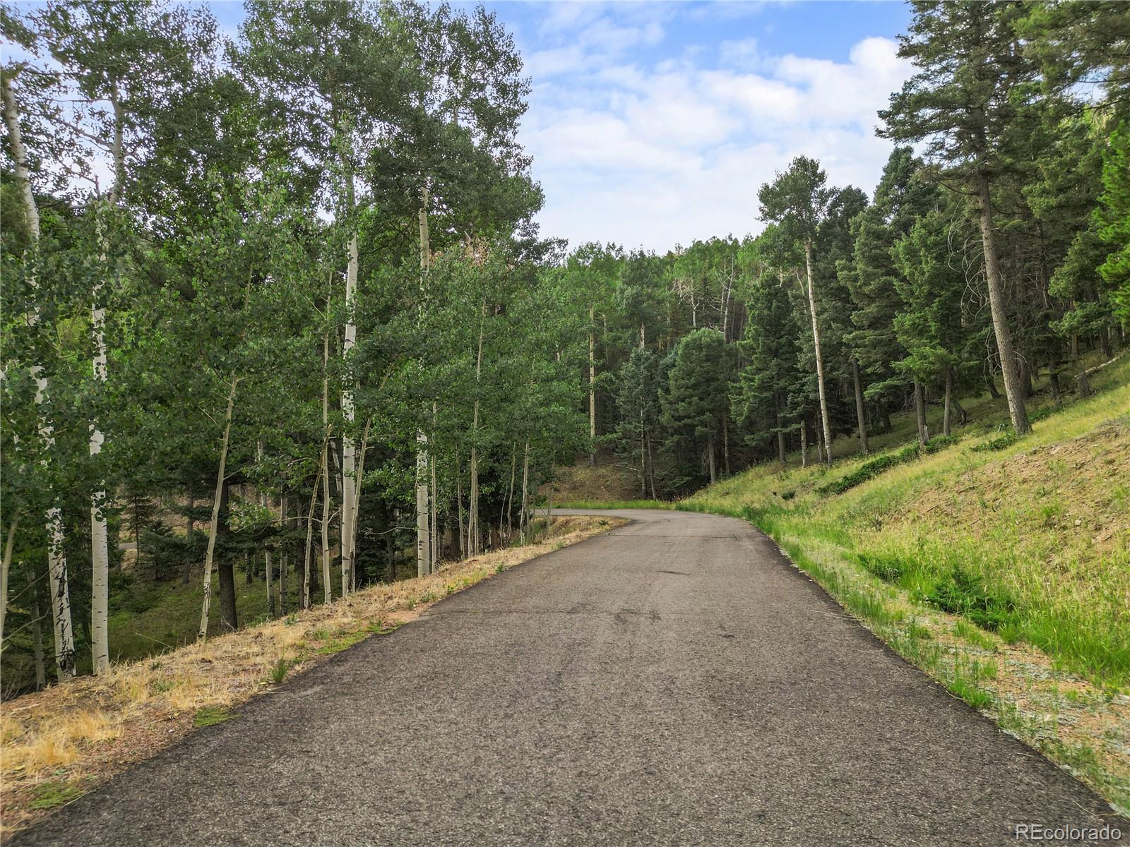 26273 Richmond Hill Road Conifer CO 80443