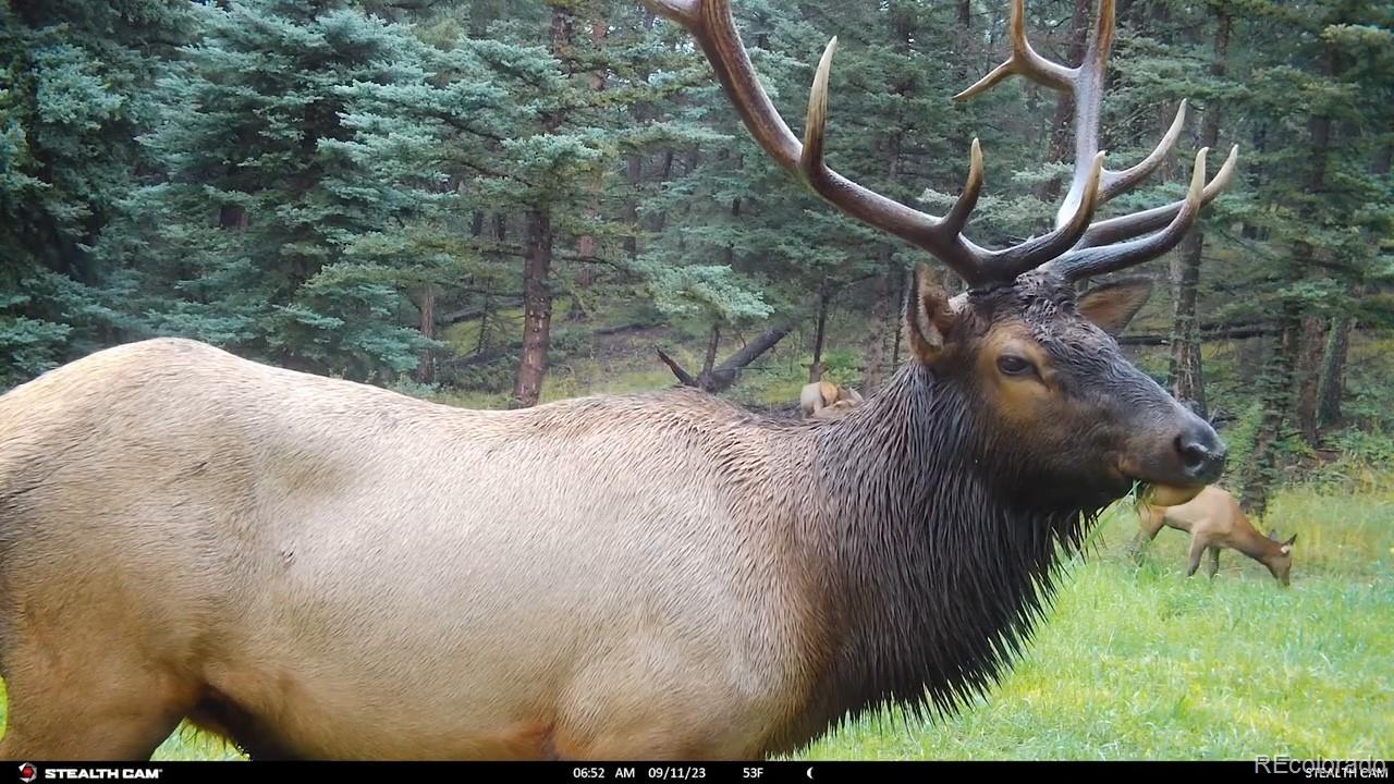 26273 Richmond Hill Road Conifer CO 80443