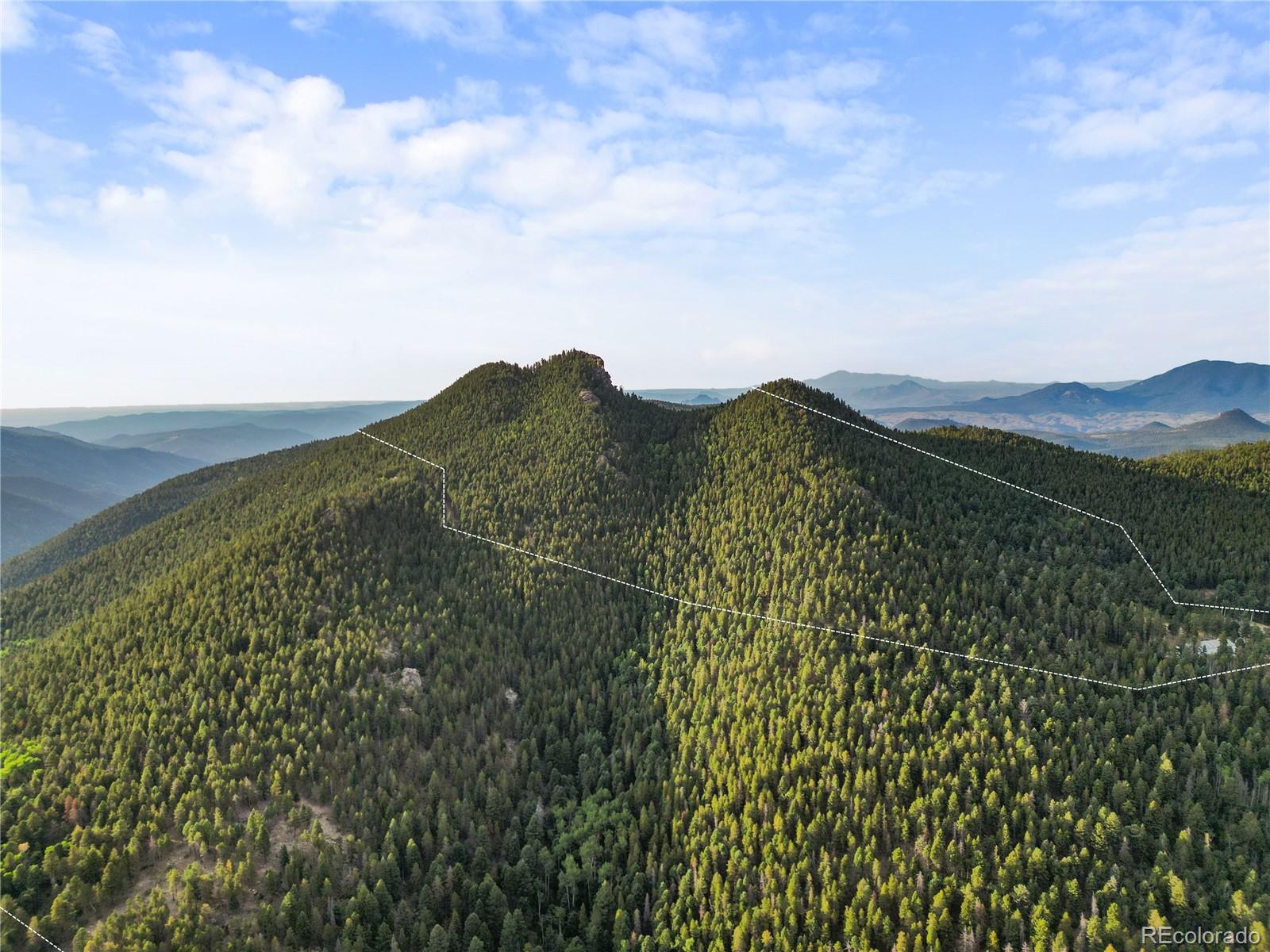 26273 Richmond Hill Road Conifer CO 80443