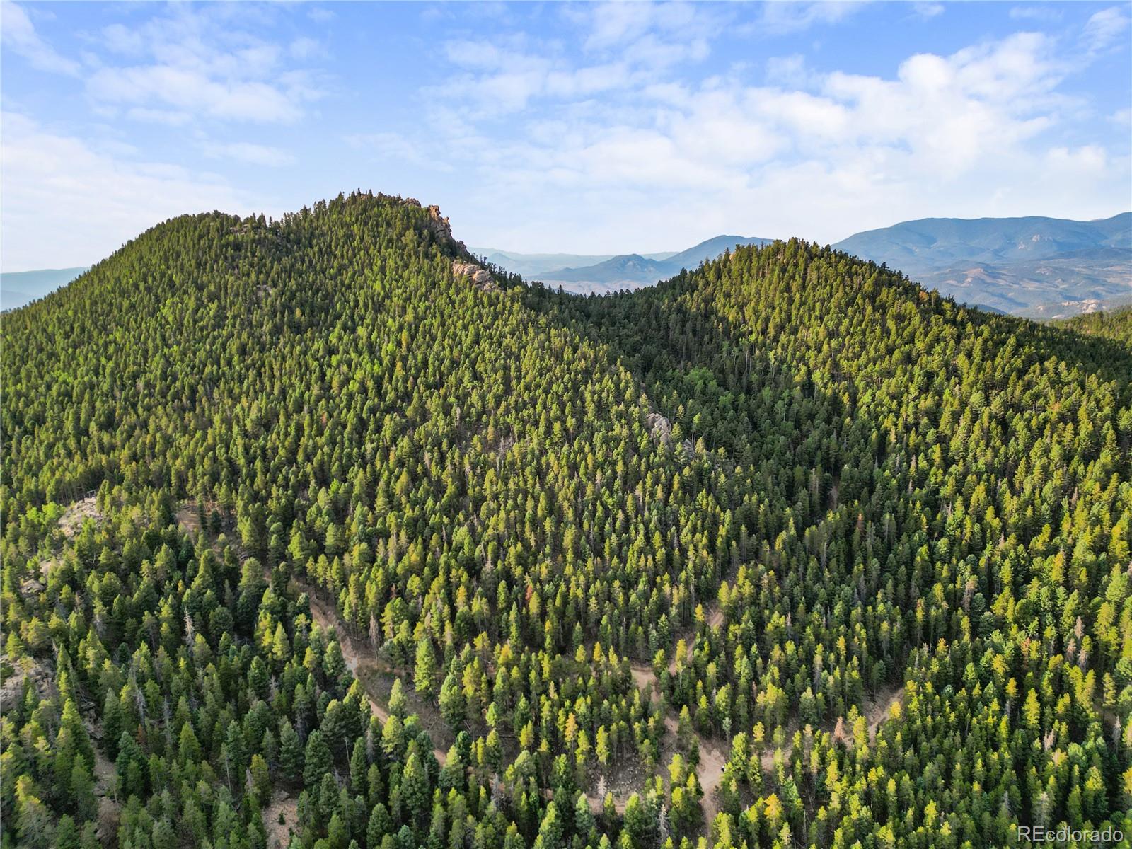 26273 Richmond Hill Road Conifer CO 80443
