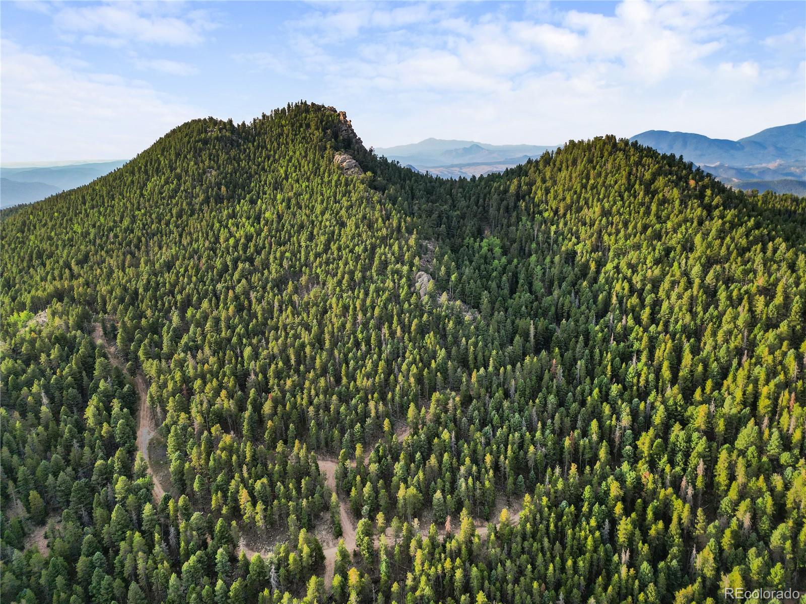 26273 Richmond Hill Road Conifer CO 80443