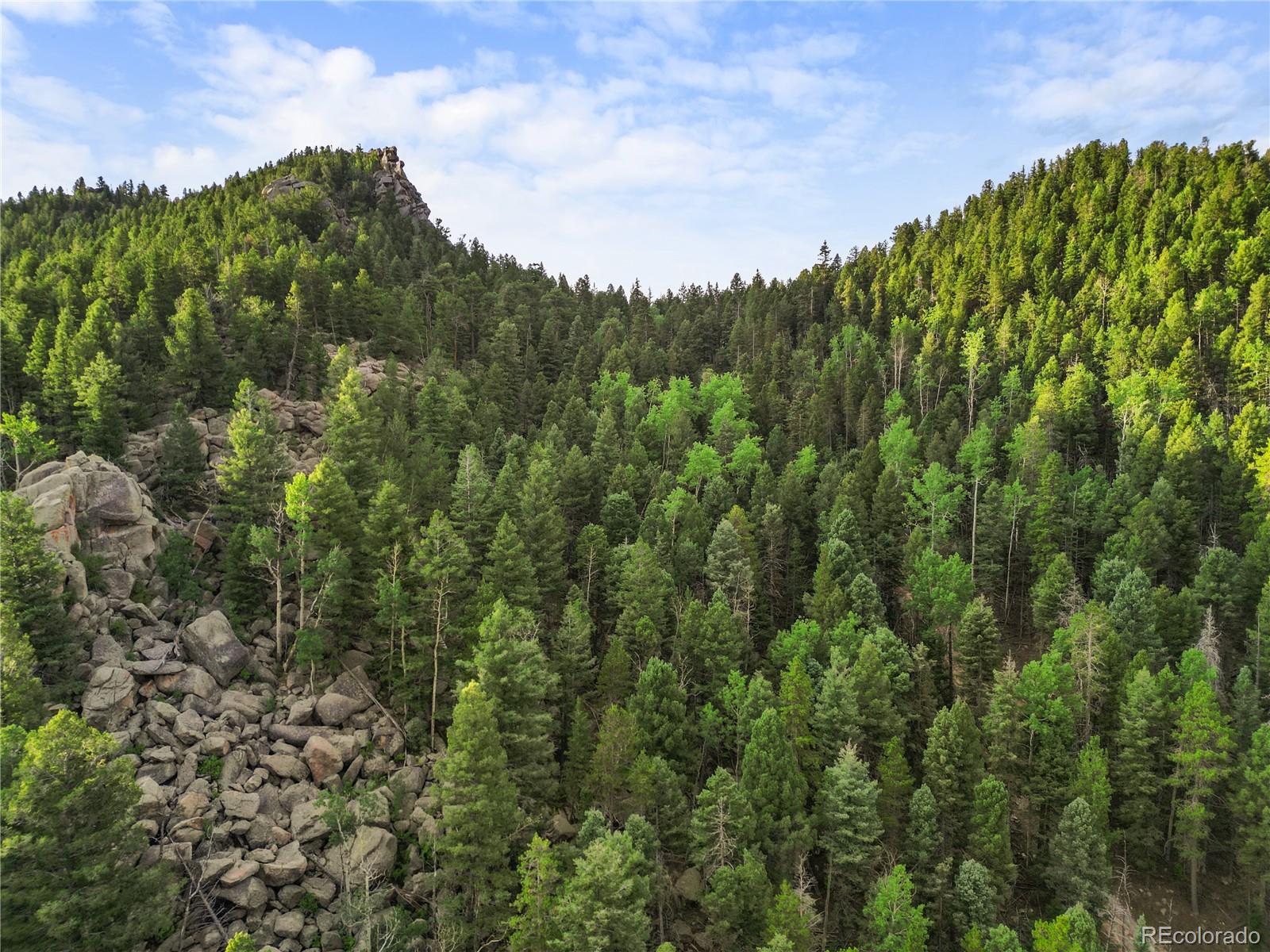 26273 Richmond Hill Road Conifer CO 80443