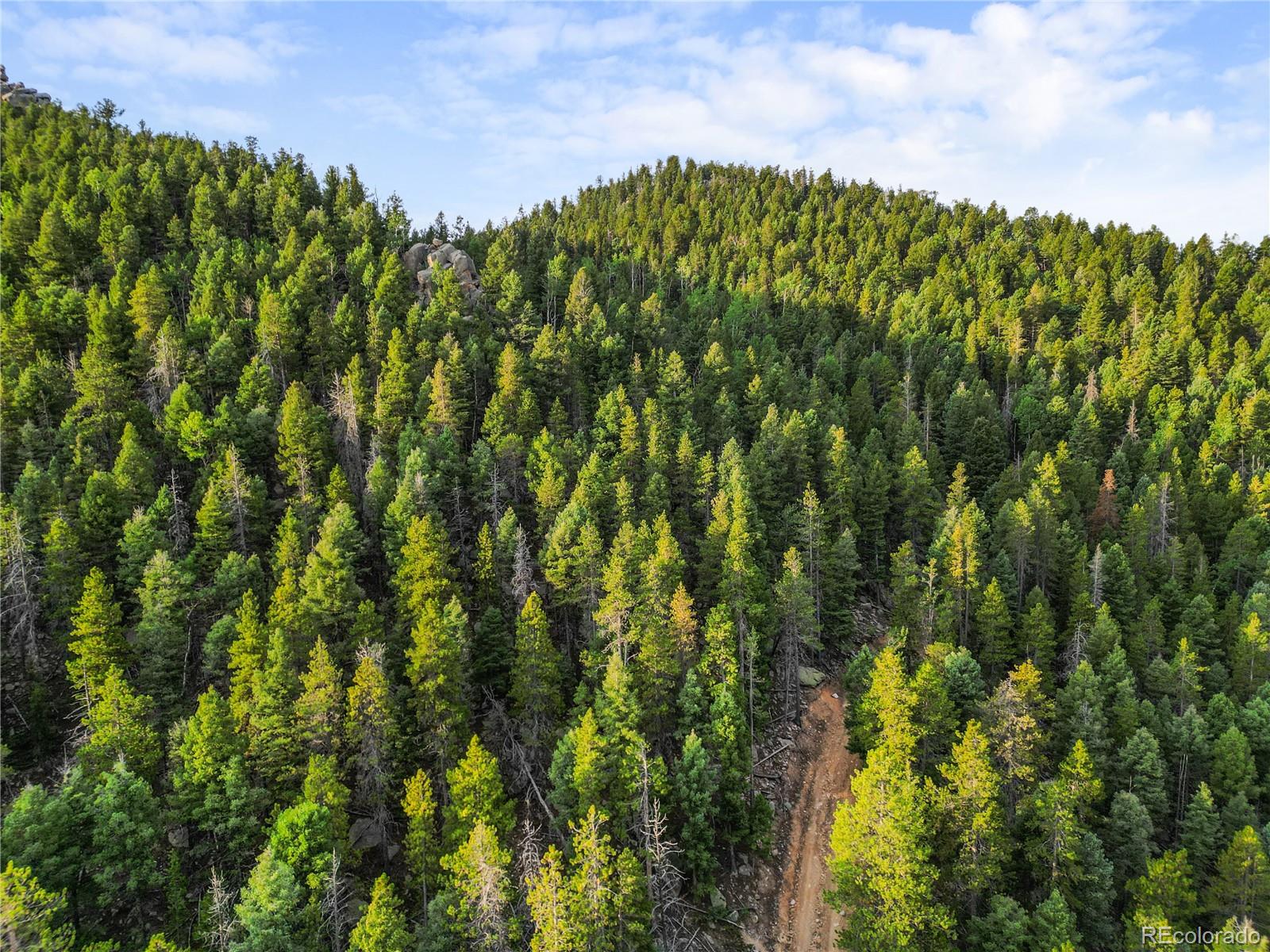 26273 Richmond Hill Road Conifer CO 80443