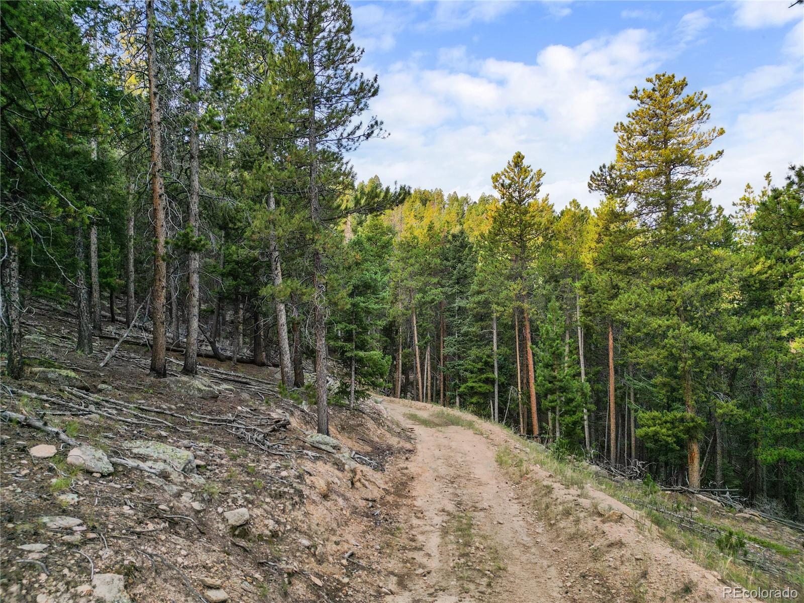 26273 Richmond Hill Road Conifer CO 80443