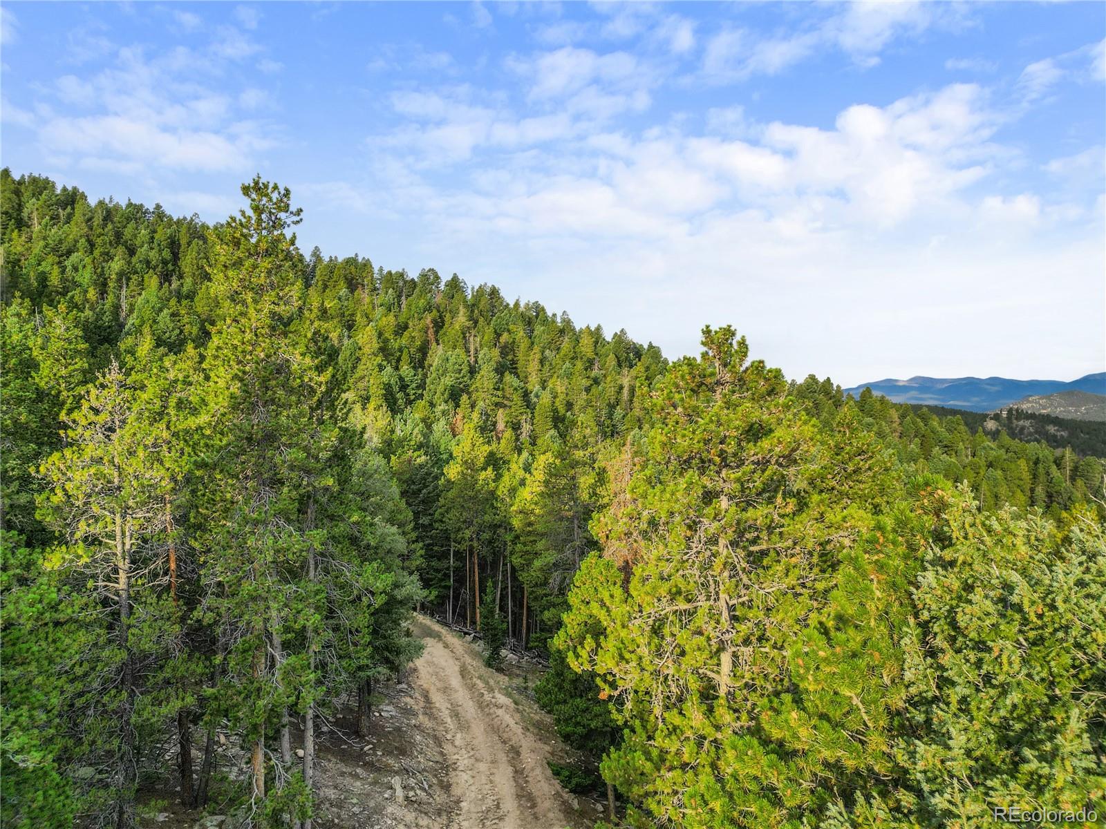 26273 Richmond Hill Road Conifer CO 80443