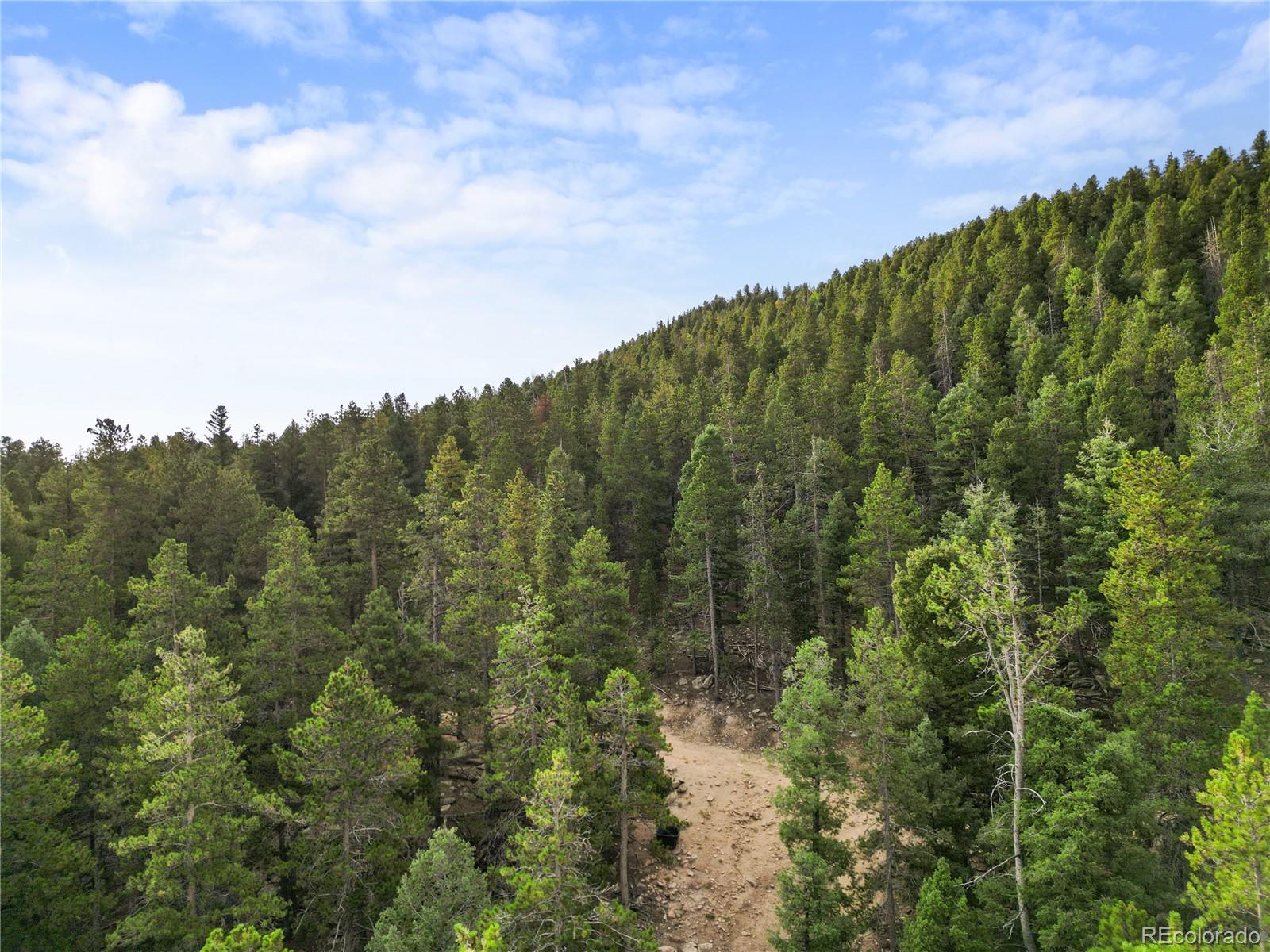 26273 Richmond Hill Road Conifer CO 80443