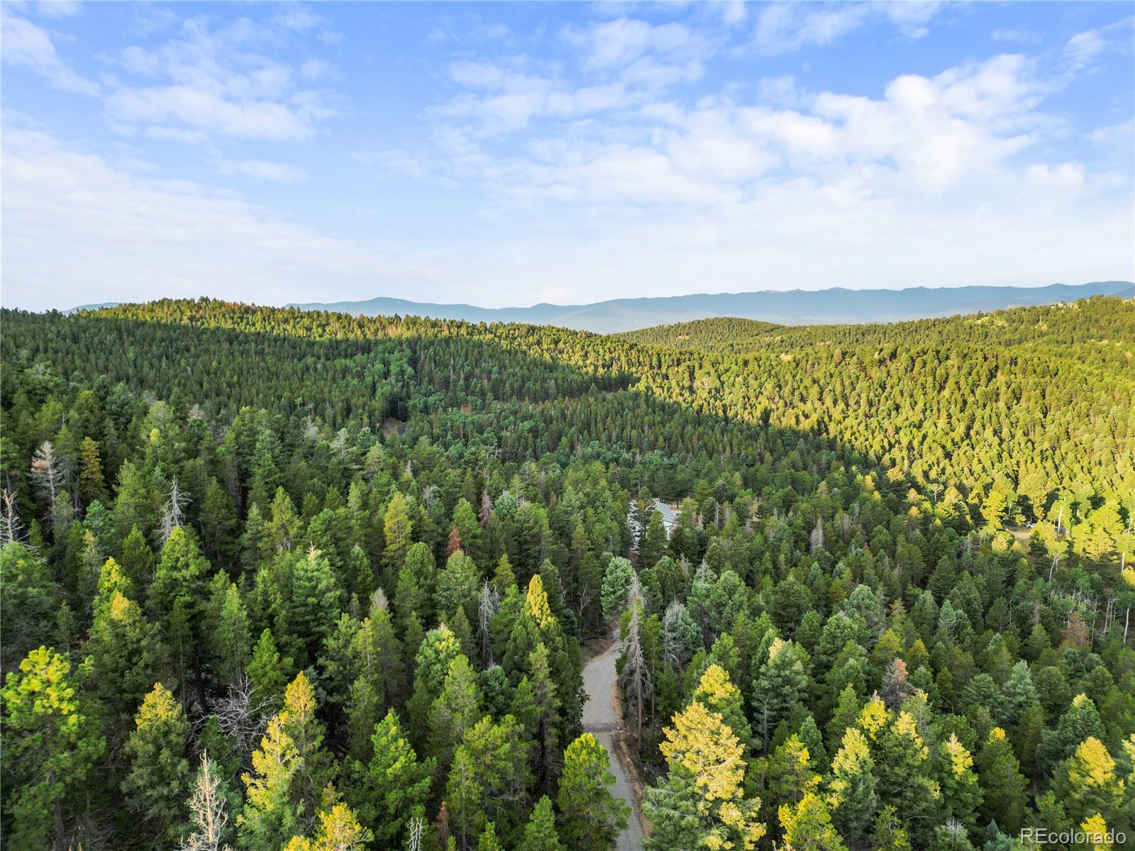 26273 Richmond Hill Road Conifer CO 80443