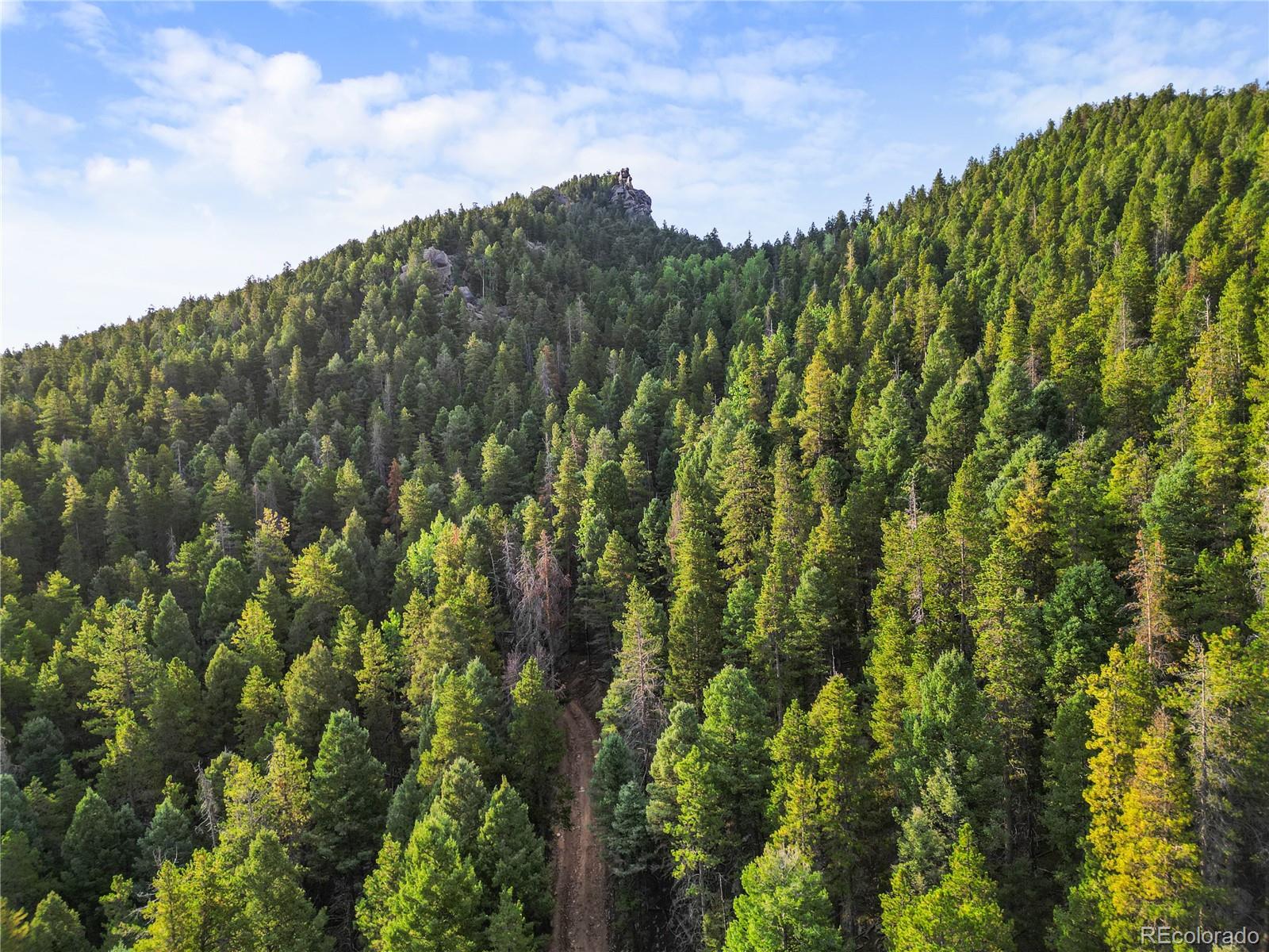 26273 Richmond Hill Road Conifer CO 80443