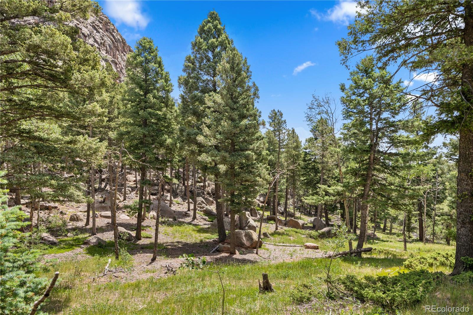 26273 Richmond Hill Road Conifer CO 80443
