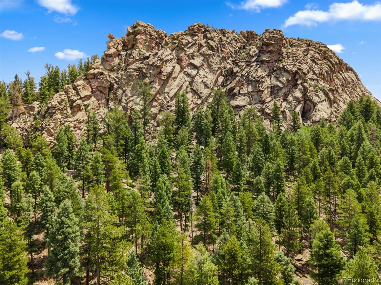 26273 Richmond Hill Road Conifer CO 80443