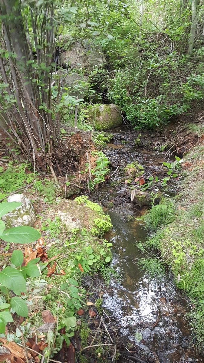 0 Ohio Gulch Trail Dumont CO 80436