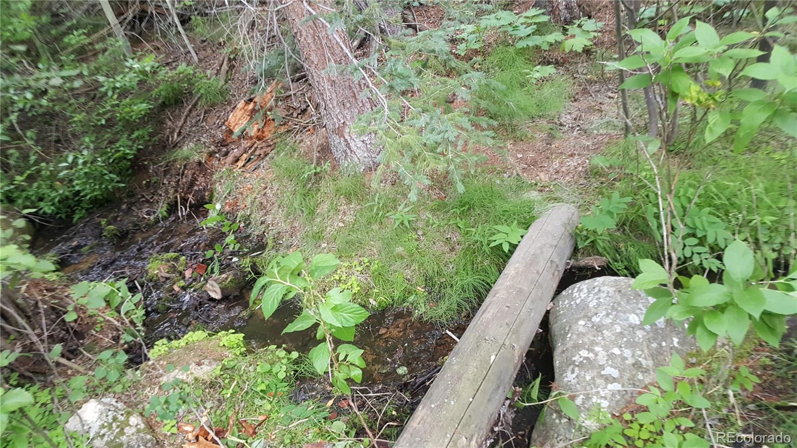 0 Ohio Gulch Trail Dumont CO 80436