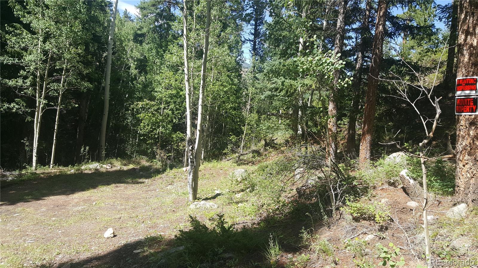 0 Ohio Gulch Trail Dumont CO 80436