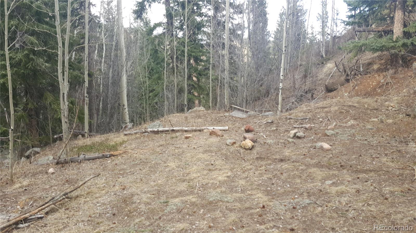 0 Ohio Gulch Trail Dumont CO 80436