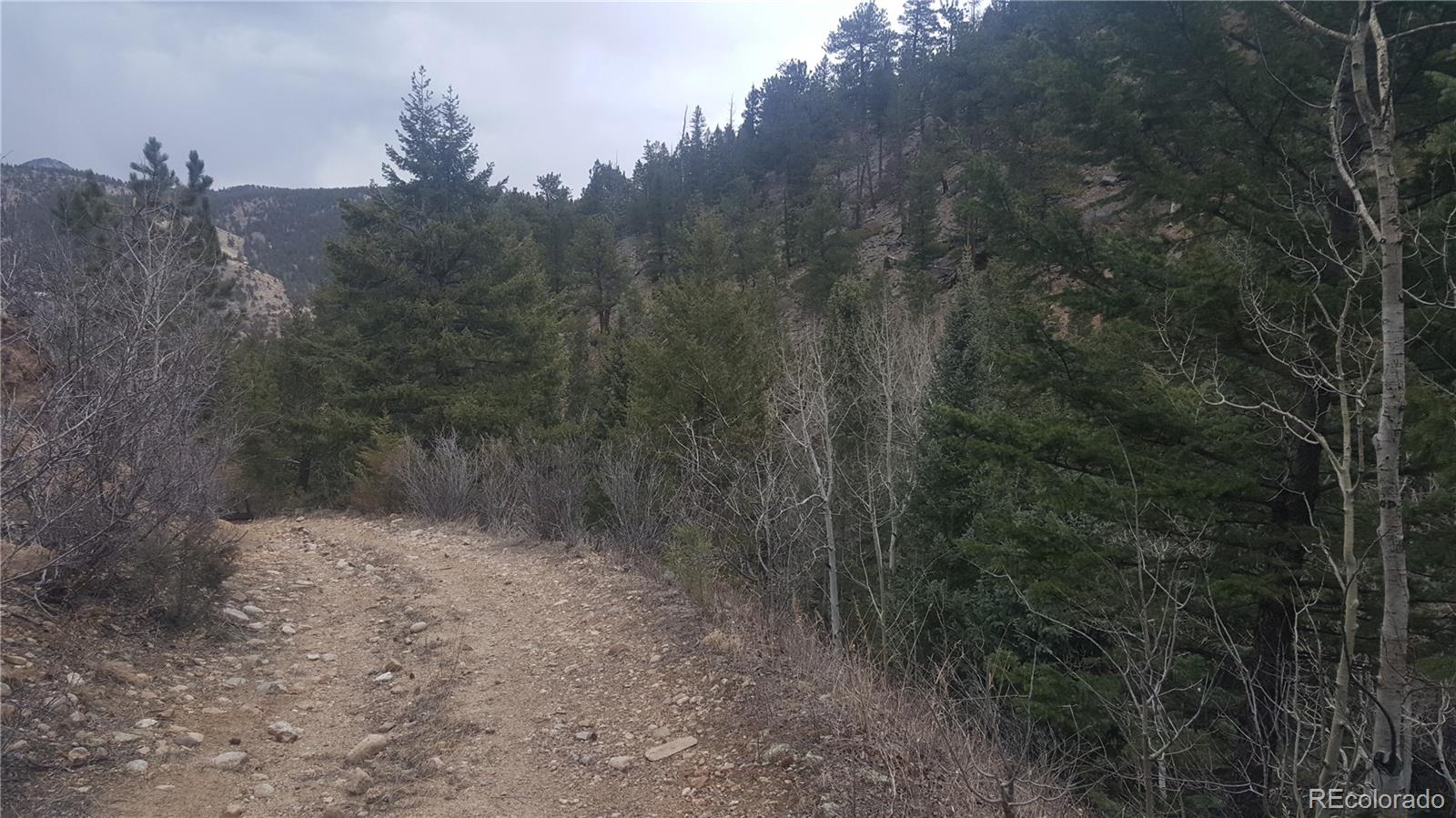0 Ohio Gulch Trail Dumont CO 80436