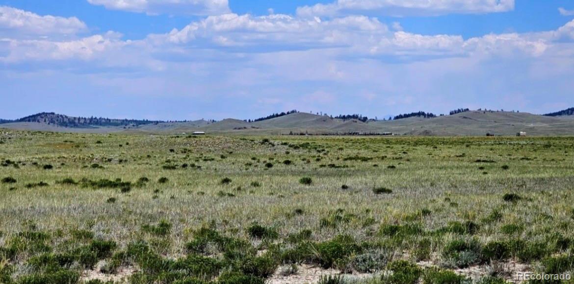 1828 Cheyenne Road Hartsel CO 80449