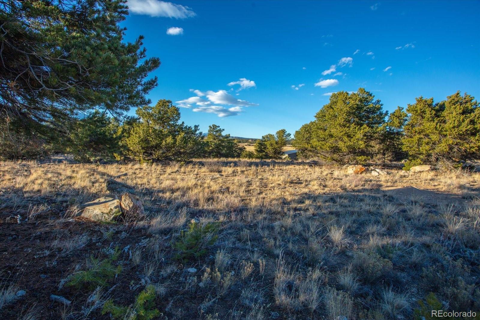 12740 County Road 195 Salida CO 81201