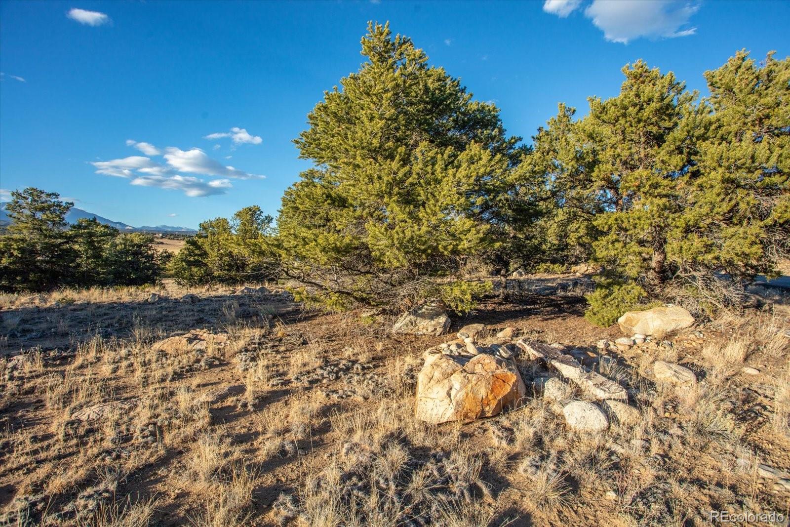 12740 County Road 195 Salida CO 81201