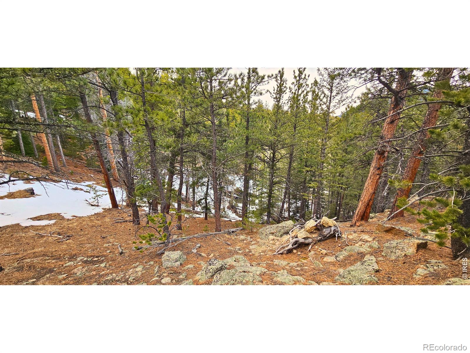 12190 Highway 7 Allenspark CO 80510