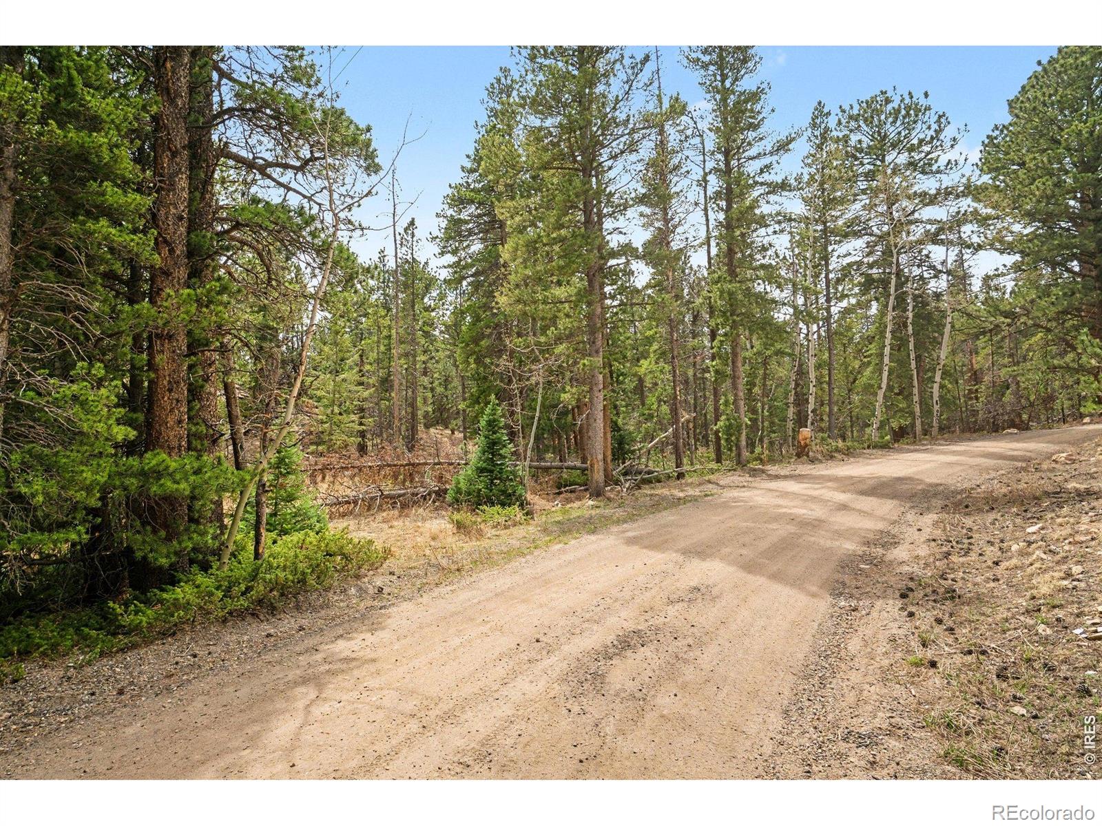 12190 Highway 7 Allenspark CO 80510