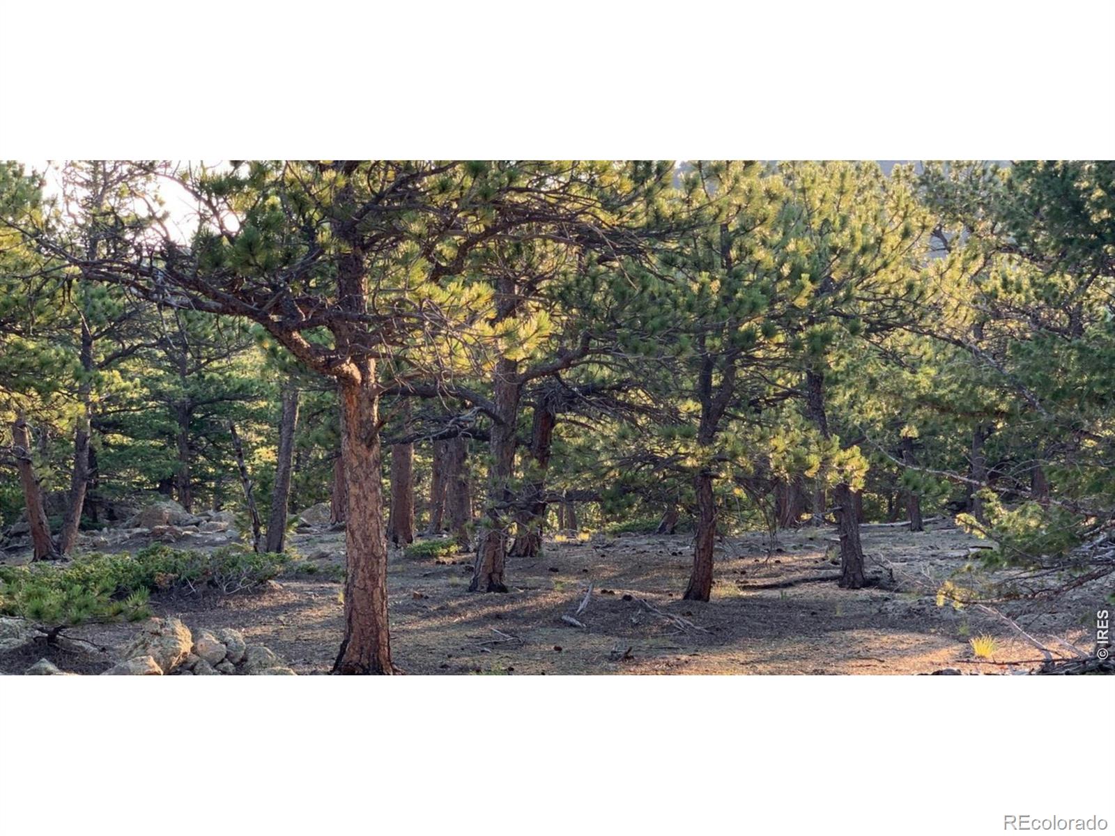 12190 Highway 7 Allenspark CO 80510