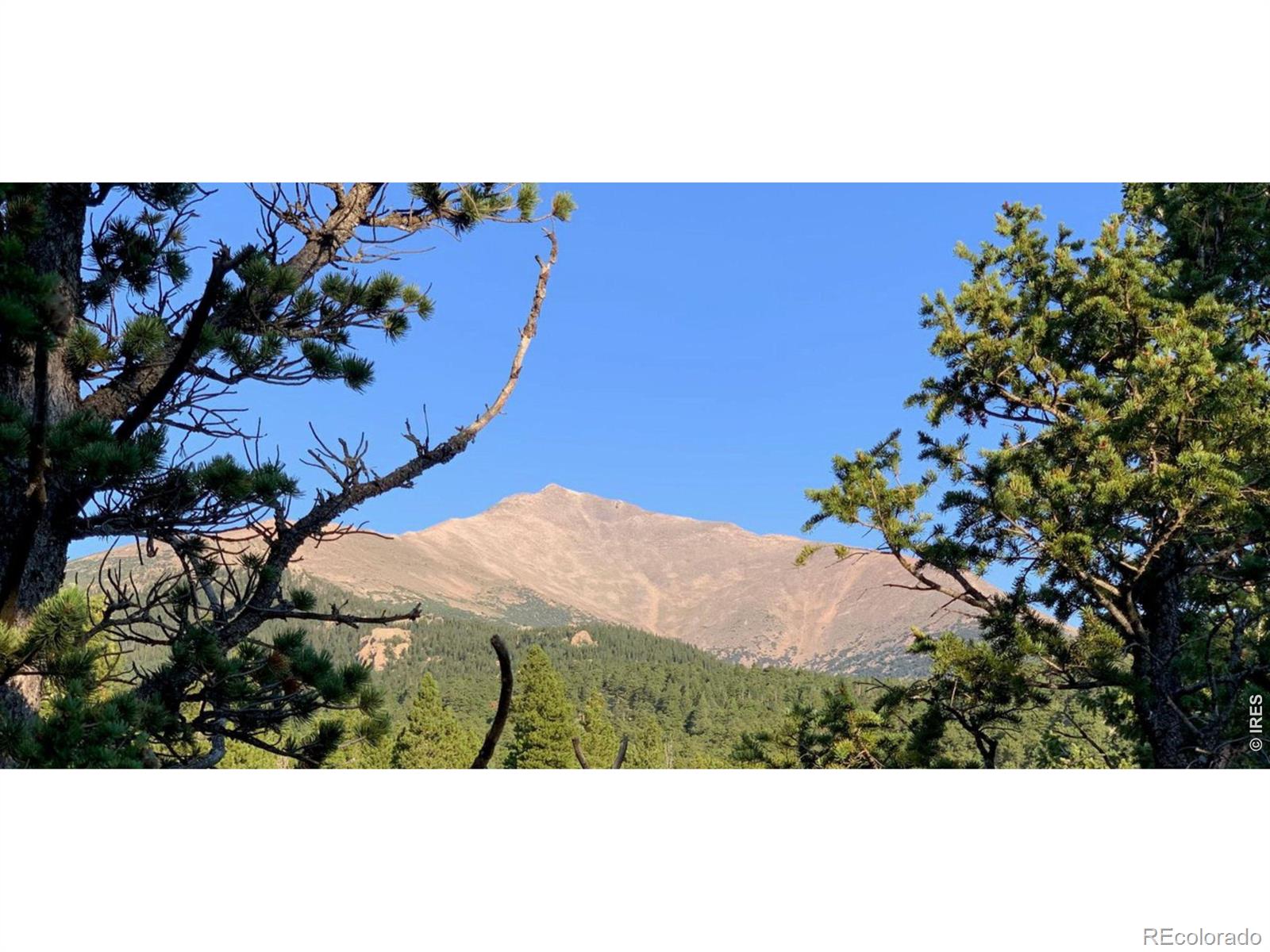 12190 Highway 7 Allenspark CO 80510