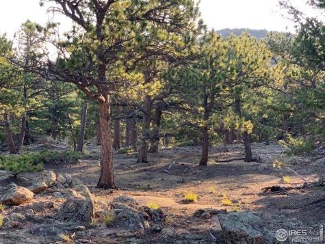 12190 Highway 7 Allenspark CO 80510