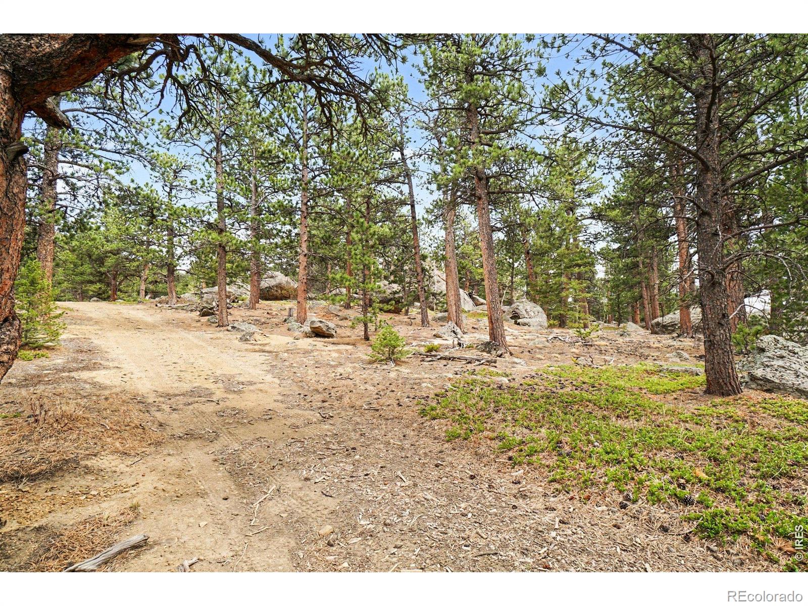 12190 Highway 7 Allenspark CO 80510