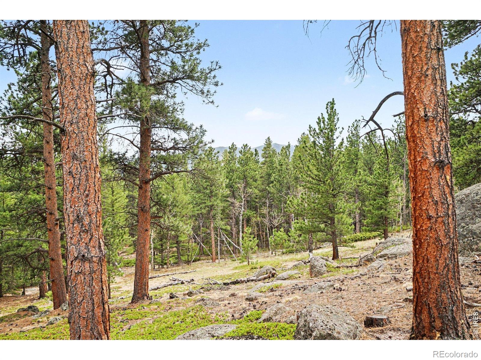 12190 Highway 7 Allenspark CO 80510