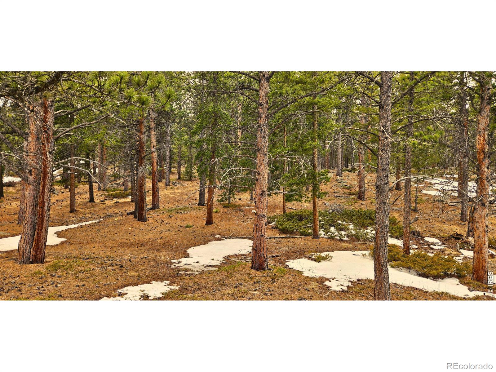 12190 Highway 7 Allenspark CO 80510