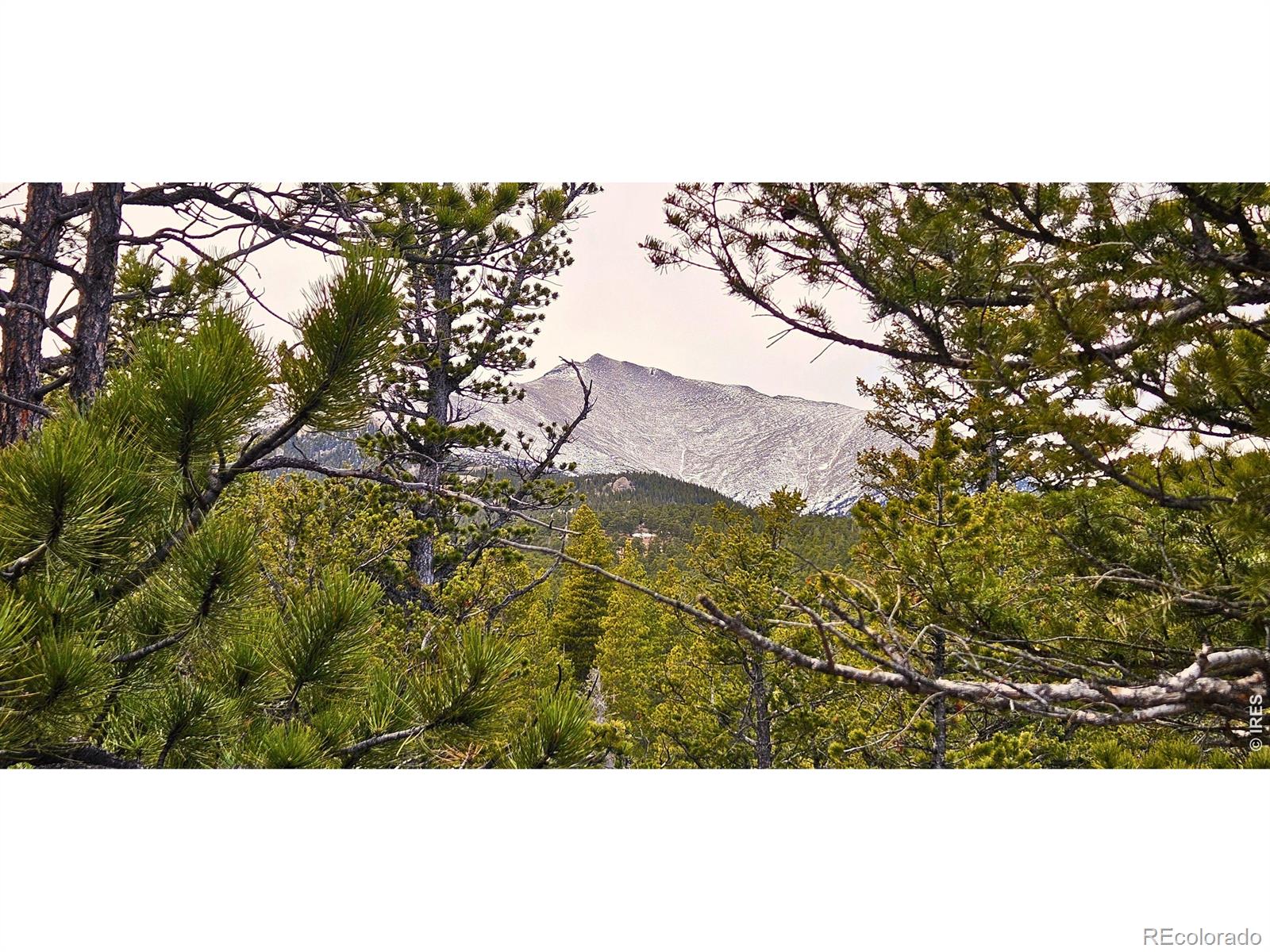 12190 Highway 7 Allenspark CO 80510