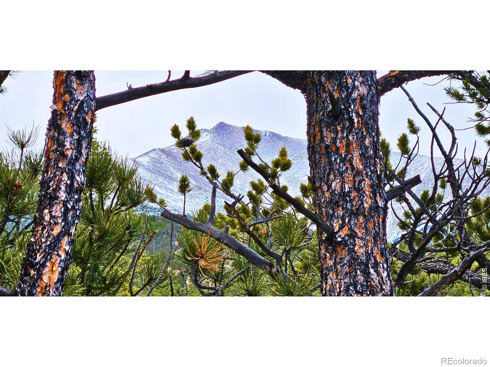 12190 Highway 7 Allenspark CO 80510