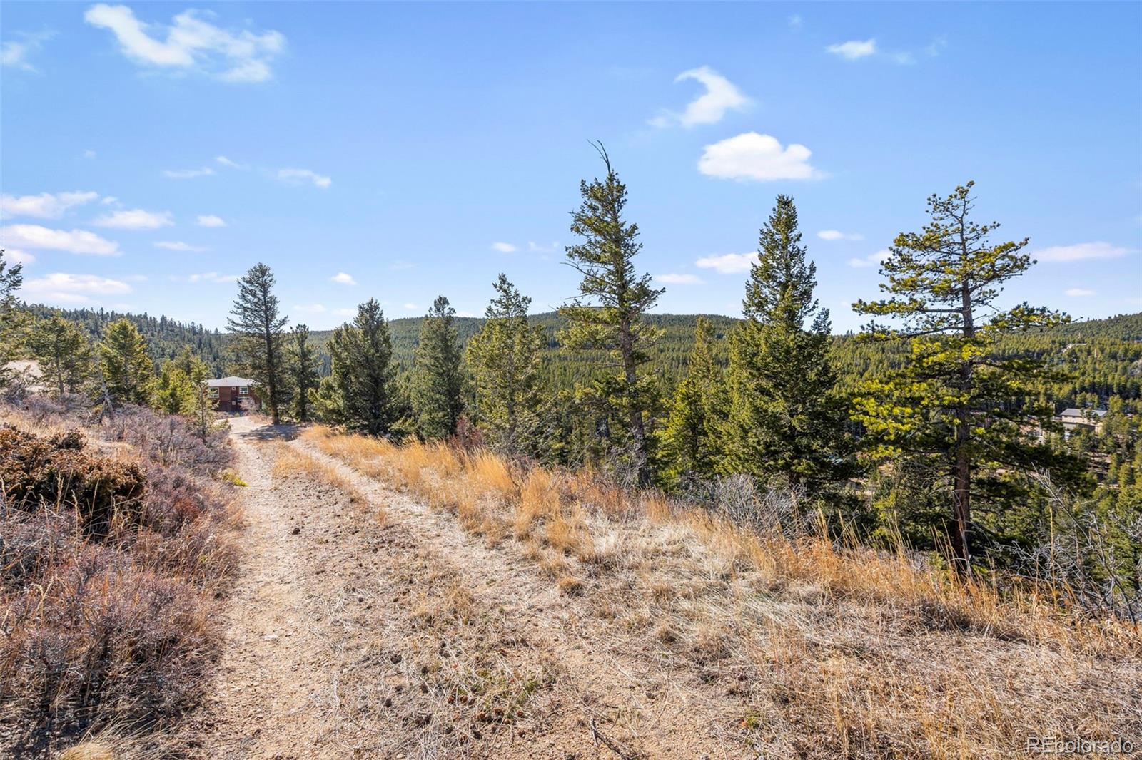 58 Doe Trail Nederland CO 80466