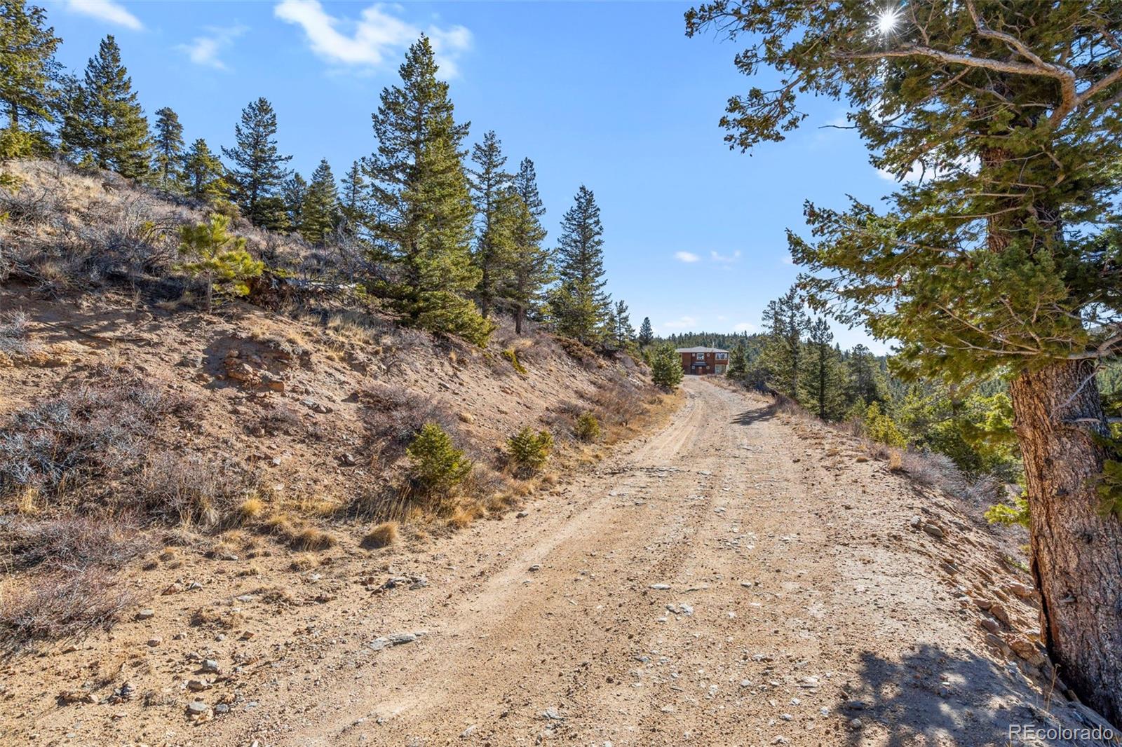 58 Doe Trail Nederland CO 80466