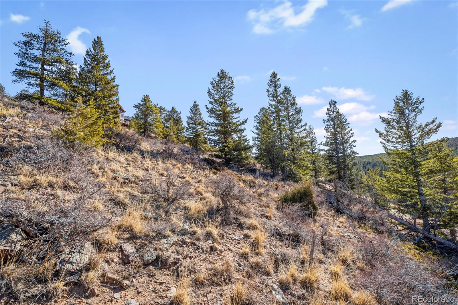 58 Doe Trail Nederland CO 80466