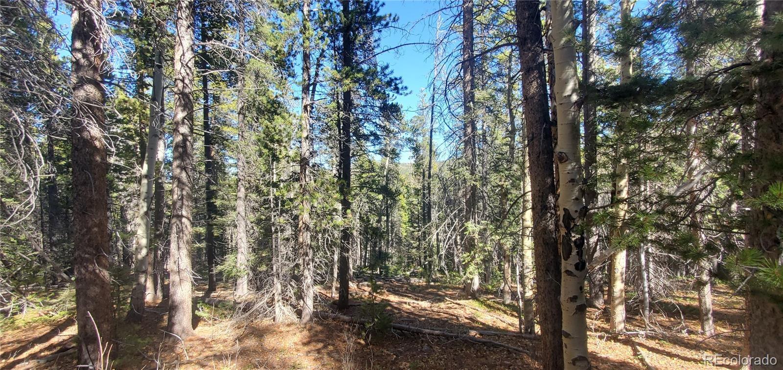 Lot 3023 & 3024 Bolwell Lane Fort Garland CO 81133