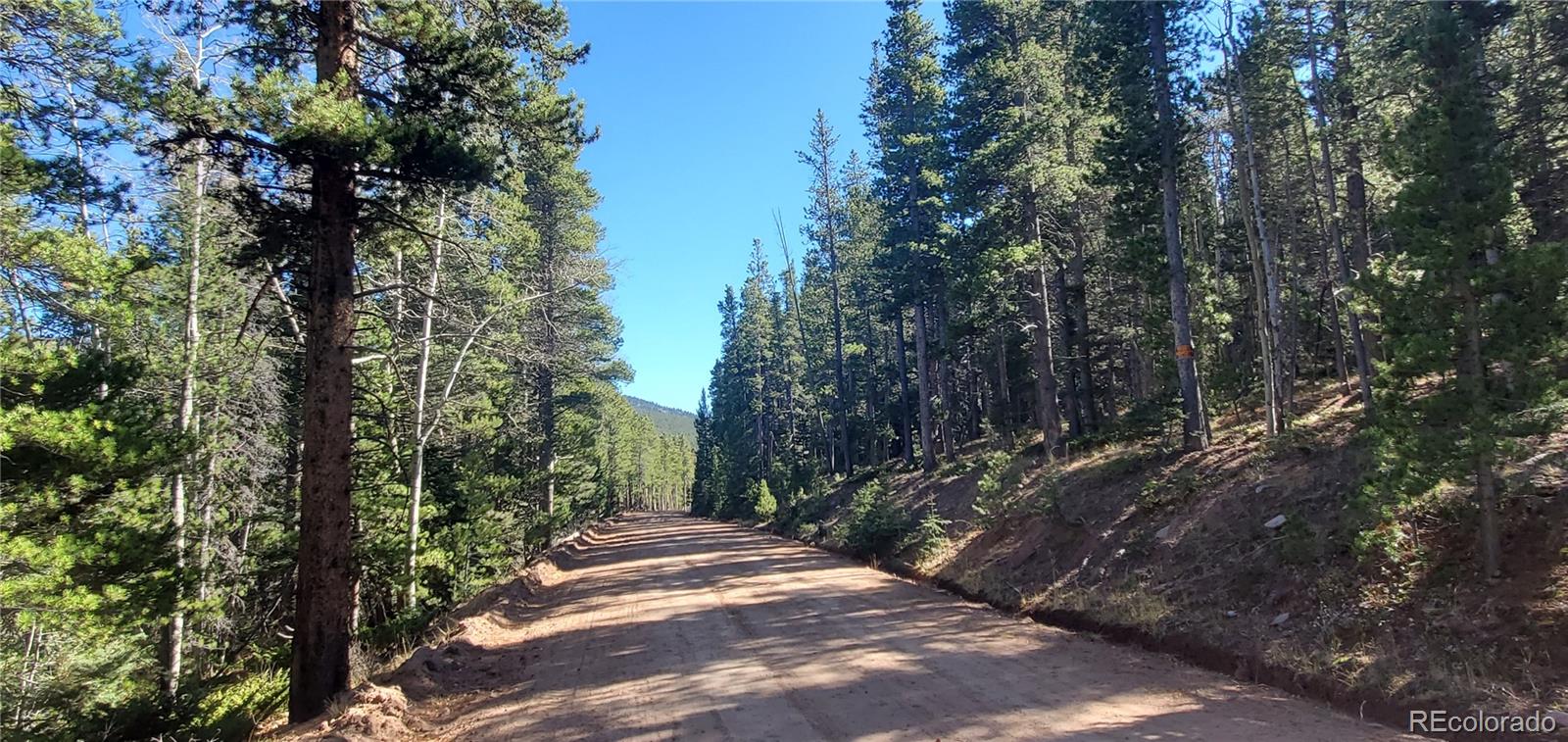 Lot 3023 & 3024 Bolwell Lane Fort Garland CO 81133