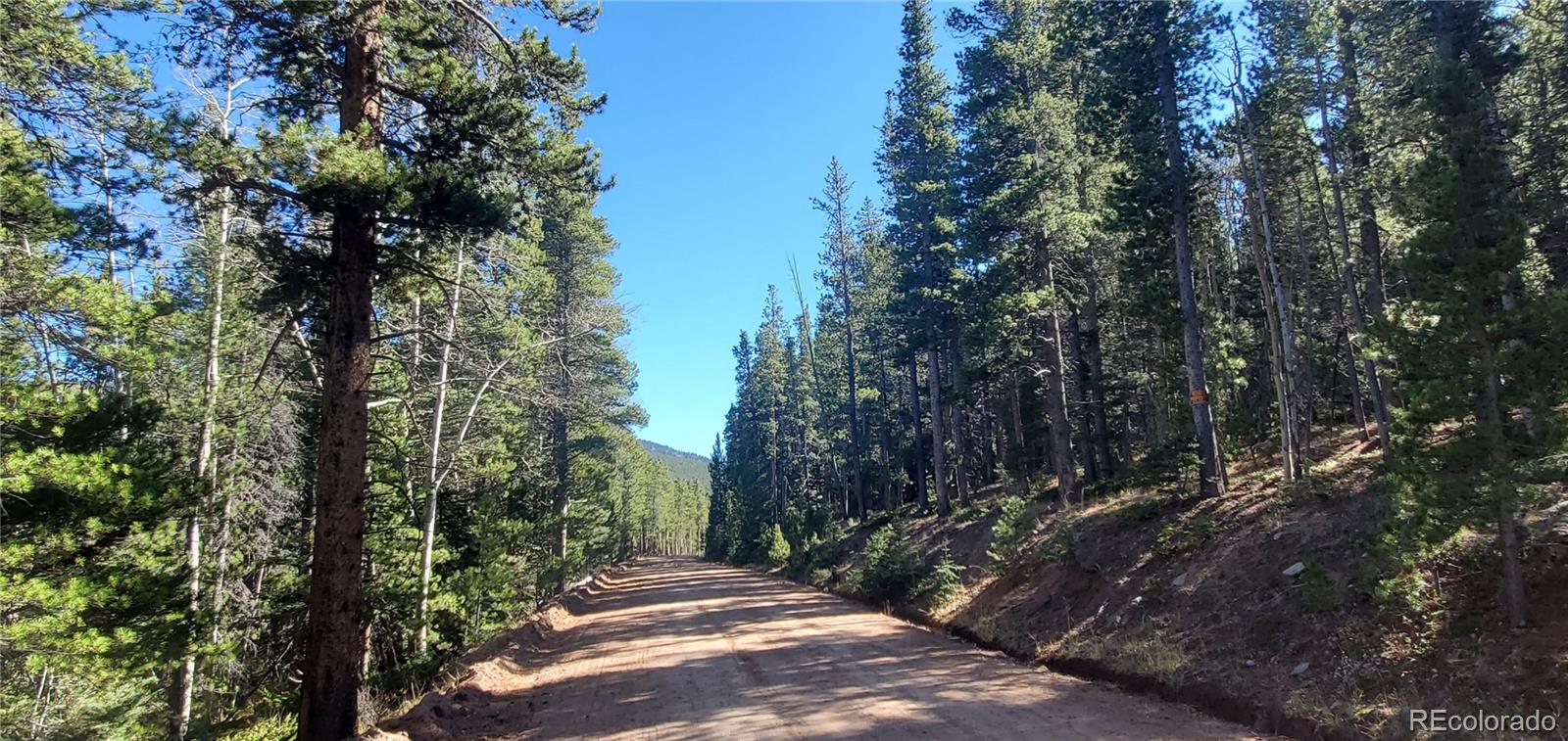 Lot 3023 & 3024 Bolwell Lane Fort Garland CO 81133